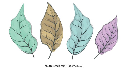 Colored leaves on a white background