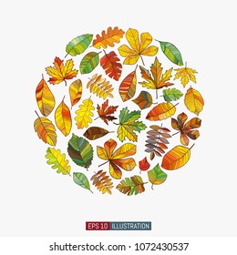 Colored leaves set. Beech, chestnut, elm, maple, oak, rowan and other leaves. Vector illustration.