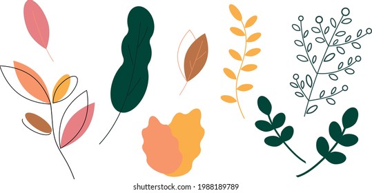 Colored leaves set isolated on white background. Flat vector illustration. Various shapes of green leaves of trees and plants. Elements for eco and bio banners.