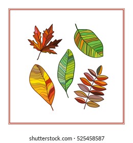 Colored leaves set. Vector graphics.