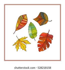 Colored leaves set. Vector graphics.