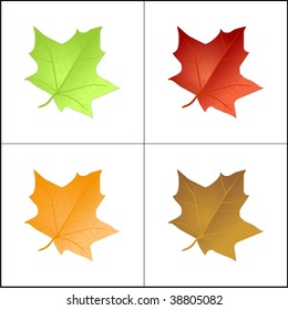 colored leaves VECTOR