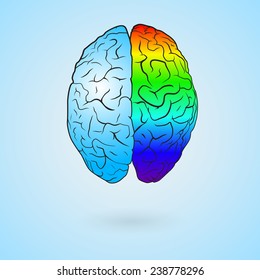 Colored left brain and right brain. Concept illustration. EPS10 vector.