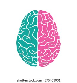 Colored left and right sides of the human brain illustration 