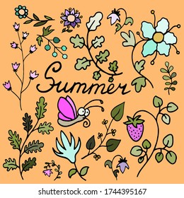 colored lettering summer text vector set collection with animals and plants