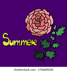 colored lettering summer text vector set collection with rose flower