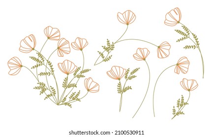 Colored line art flower set. Doodle California poppy. Floristic collection of wild flowers.