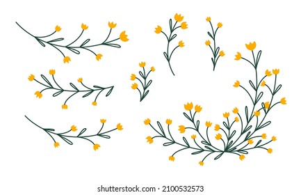 Colored line art flower set. Doodle branches with small yellow bells. Floristic collection of wild flowers.