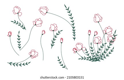 Colored line art flower set. Doodle poppy. Floristic collection of wild flowers.	
