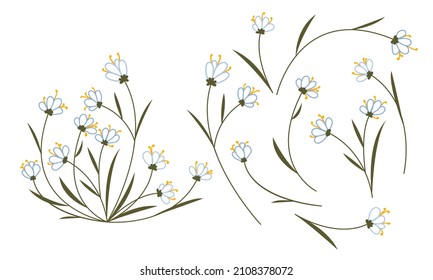 Colored line art flower set. Doodle bluebells with long yellow stamens. Floral collection of wild flowers.