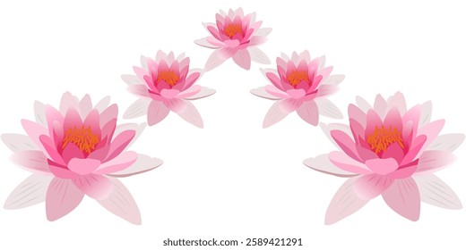 colored lotus flower vector design