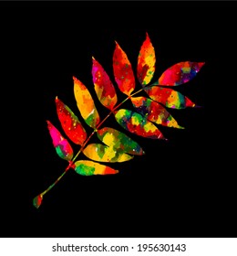 colored magical leaf of the tree. Vector