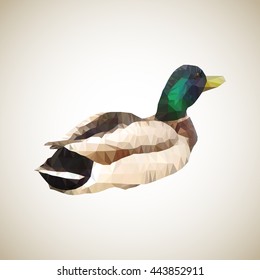 Colored male duck. Triangles polygon vector illustration