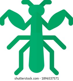 Colored mantis on white background isolated. Vector illustration