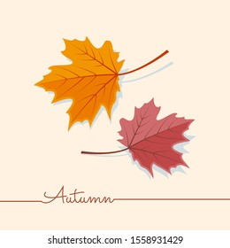 Colored maple leaves isolated on a light background. Autumn leaf vector illustration.