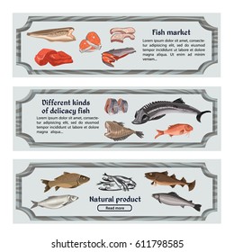 Colored marine food horizontal banners with text different kinds of fishes and sea products vector illustration