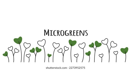 Colored microgreen assorted seeds peas onion radish beet and others on white background vector illustration