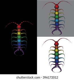 colored millipede on the background of the three types