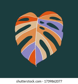Colored monstera leaf, exotic tropical plant. Vector illustration
