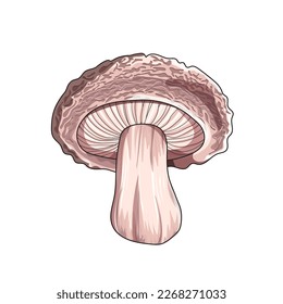 colored mushrooms and twigs white background. Pattern for fabric, wrapping paper, wallpaper. Vector illustration.