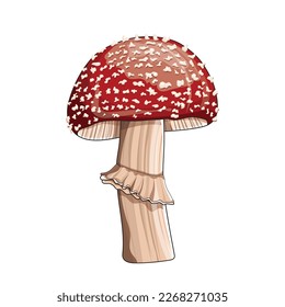 colored mushrooms and twigs white background. Pattern for fabric, wrapping paper, wallpaper. Vector illustration.