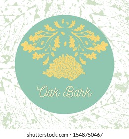 Colored Oak Bark and Oak Branches with Acorns on the Textured Background and Round Substrate. Substrate with Leaf Imprints on the White Background. 