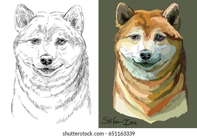 Colored on brown background and black and white Shiba Inu vector portrait