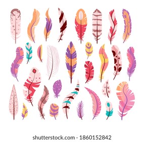 Colored ornamental bird wing feather, curved straight quill. Cartoon ethnic tribal fluffy elegance birdie plumage different shape and size vector illustration isolated on white background