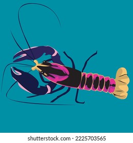 colored ornamental lobster vector illustration