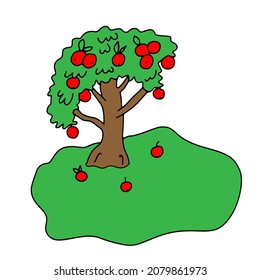 Dibujo manual de un contorno de color ilustración de un árbol de manzana verde con manzanas rojas aisladas en un fondo blanco