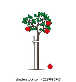A Colored outline hand drawing vector illustration of a green apple tree with red apples isolated on a white background