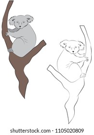 Colored and outline hand-drawn drawing of a koala bear. Illustrations for kids coloring book