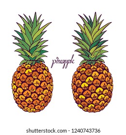 A colored outline image of pineapple. Hand-drawn text. Tropical fruit. Element for design. Vector illustration isolated on white background.