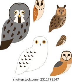 Colored Owl set flat vector illustration
