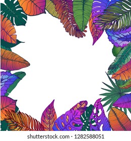 colored palm leaves, hand drawing, frame, vector, background