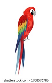 Colored parrot ,cartoon bird design