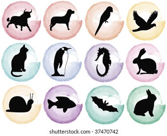 colored pastell splotches with black animal silhouettes