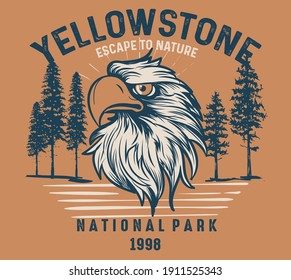 Colored patch eagle, mountain and rock for camping and outdoor travel expedition or t-shirt print