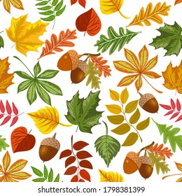 Colored pattern with autumn leaves.Multicolored autumn leaves on a white background in a seamless pattern.