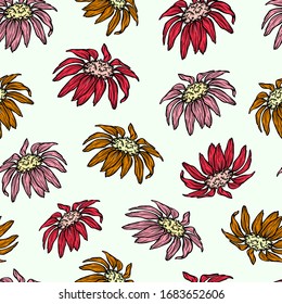 Colored pattern seamless medical plants. echinacea flower vector. background illustration texture textile wrapper.