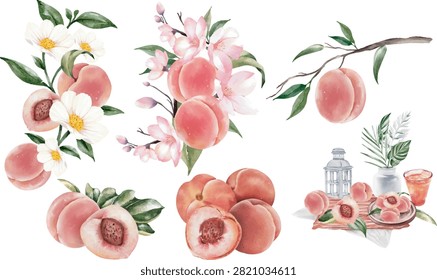 Colored peach hand drawn vector illustration