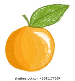 colored pencil orange sketch, vibrant citrus fruit art, playful juicy vector