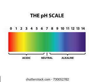 Colored the pH scale rainbow - isolated vector illustration