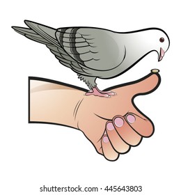 colored pigeon feeding from hand-vector drawing
