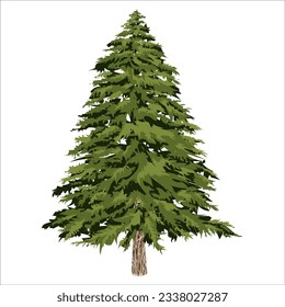 
colored pine tree illustration in vector style