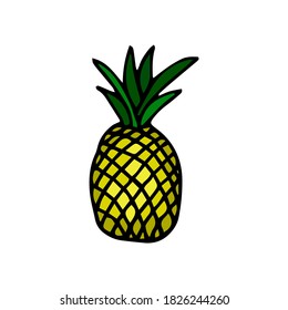 Colored Pineapple line Icon. Trendy Tropical Element. Vector Graphics. Isolated. Drawn by hand