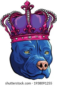 colored pitbull dog with crown vector illustration