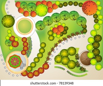 Colored Plan of garden decorative plants
