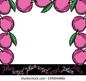 Colored plums on a white background. Frame of plums. Hand drawn.