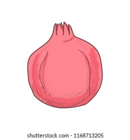 Colored pomegranate isolated on white background. Hand drawn sketch in vintage engraving style. Graphic design element for greeting card on Rosh Hashanah. Vector illustration